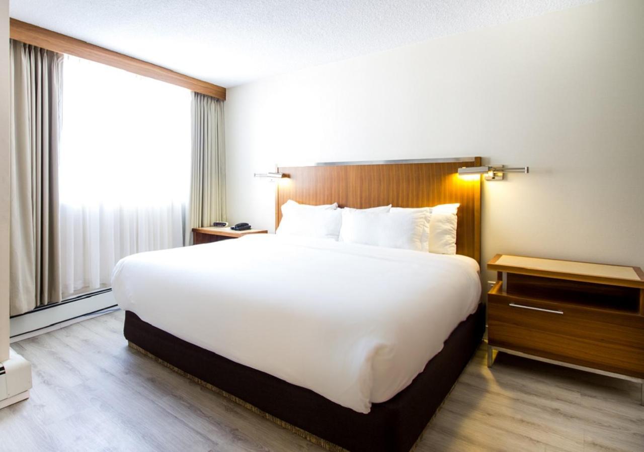 International 3* Calgary